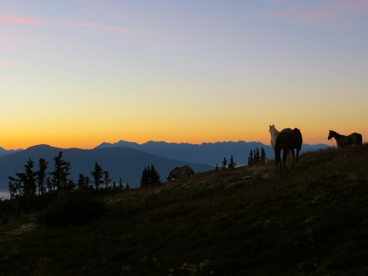 Kispiox Bear Claw Lodge المظهر الخارجي الصورة