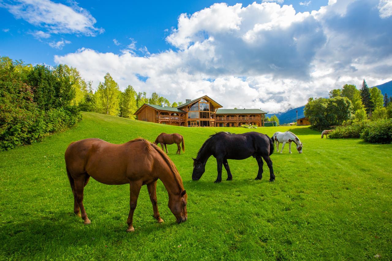 Kispiox Bear Claw Lodge المظهر الخارجي الصورة