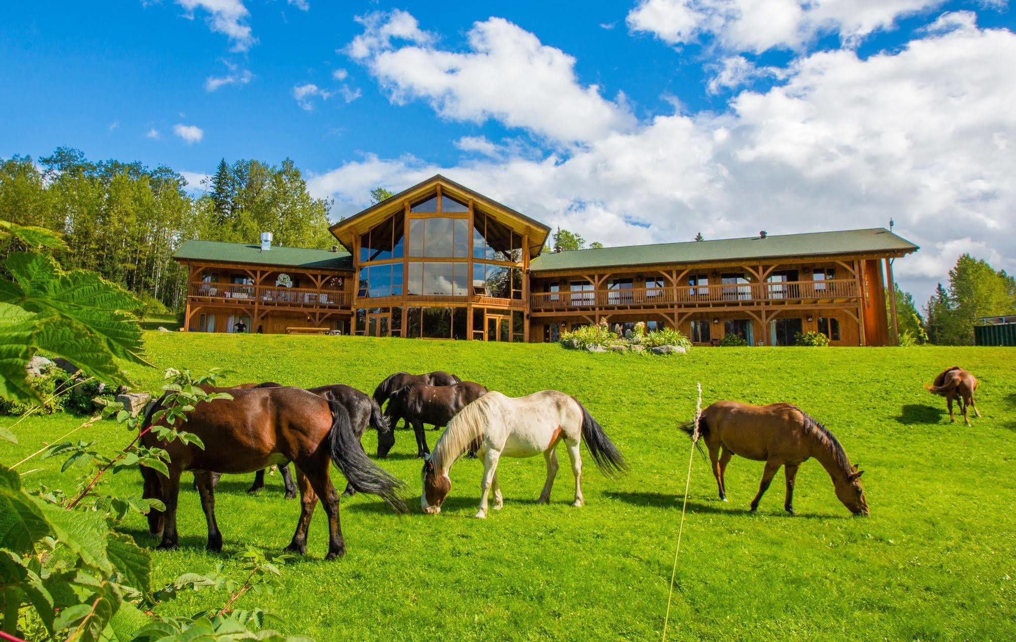 Kispiox Bear Claw Lodge المظهر الخارجي الصورة